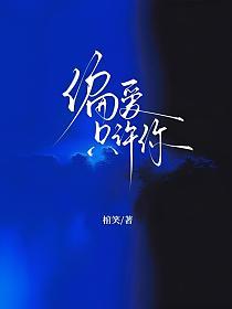 偏爱只许你的封面
