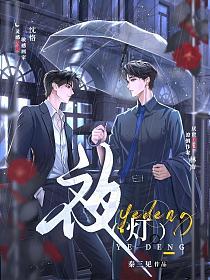 夜灯的封面