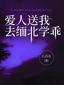 爱人送我去缅北学乖的封面图