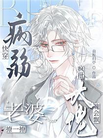 快穿：病弱老婆撩一撩，疯批大佬魂会飘的封面