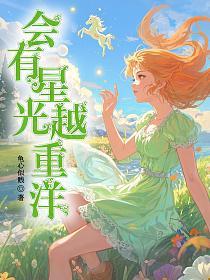 会有星光越重洋的封面