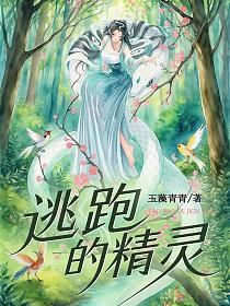 逃跑的精灵的封面