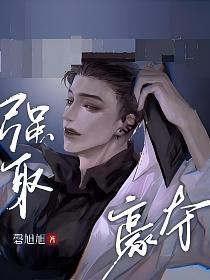 强取豪夺(玉墨起)的封面图