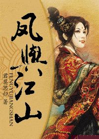 凤舆江山的封面
