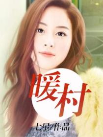 暖村的封面
