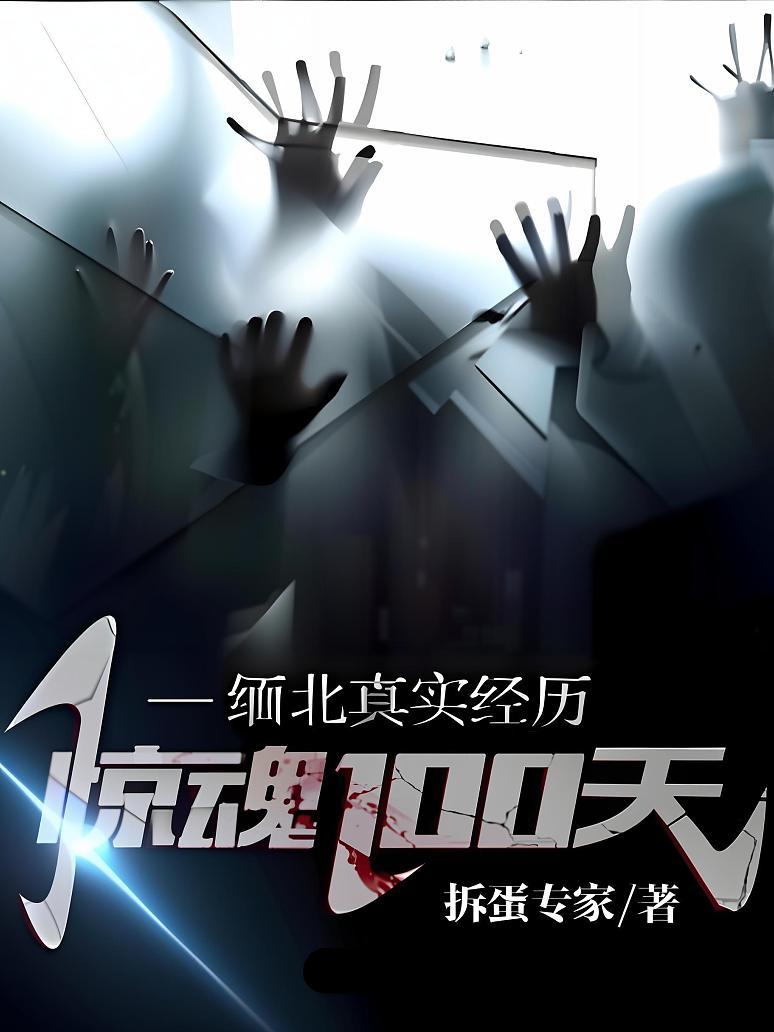 《缅北真实经历，惊魂100天》封面