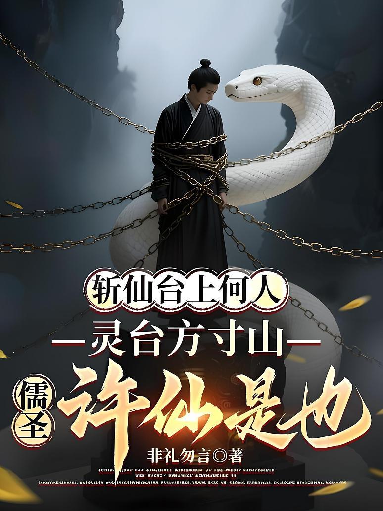 《斩仙台上何人，灵台方寸山儒圣许仙是也！》封面