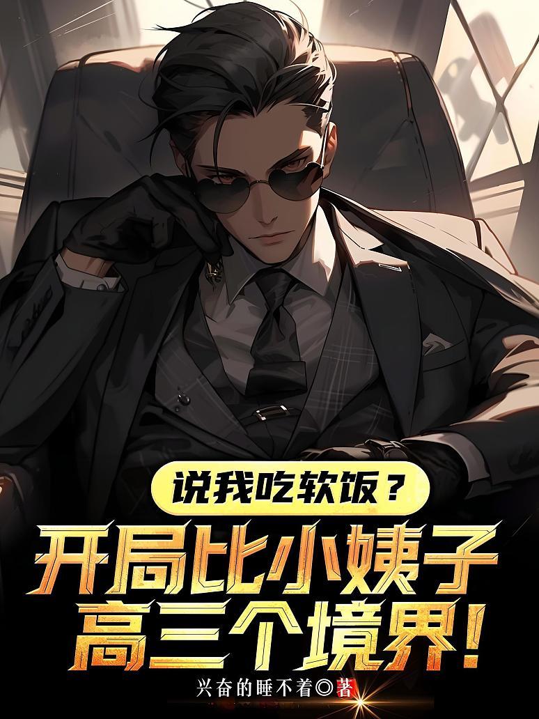 《说我吃软饭？开局比小姨子高三个境界》封面