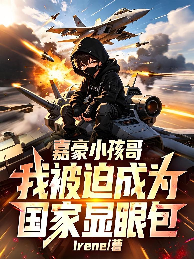 《嘉豪小孩哥：我被迫成为国家显眼包！》封面