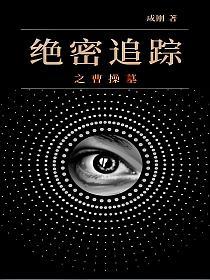 绝密追踪之曹操墓