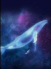 鲸歌