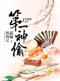 武林外传之第一神偷