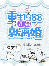 重生1988：开局就离婚