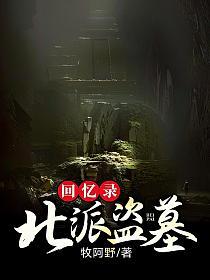 北派盗墓回忆录