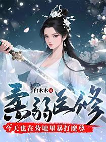 柔弱医修今天也在背地里暴打魔尊