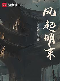 风起明末