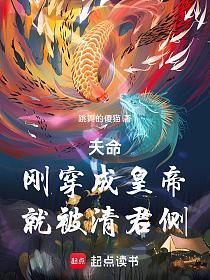 天命：刚穿成皇帝，就被清君侧