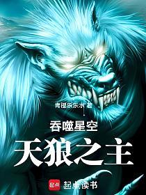 吞噬星空：天狼之主