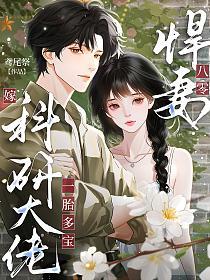 八零悍妻，嫁科研大佬一胎多宝