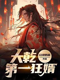 大乾第一狂婿