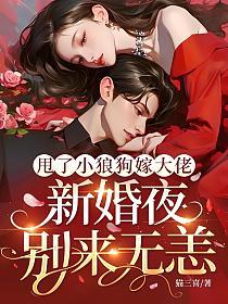 甩了小狼狗嫁大佬，新婚夜别来无恙