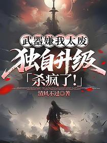 武器嫌我太废，独自升级杀疯了！