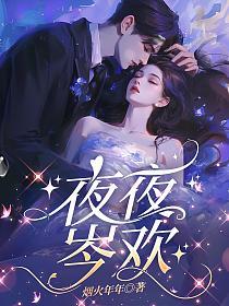 夜夜岑欢