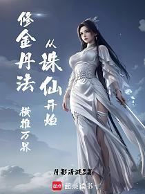 从诛仙开始修金丹法，横推万界