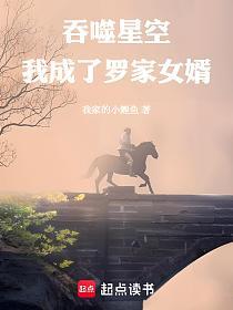 吞噬星空：我成了罗家女婿