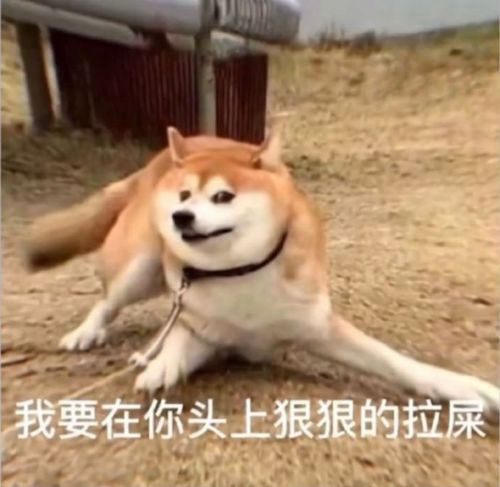 国美队长的头像