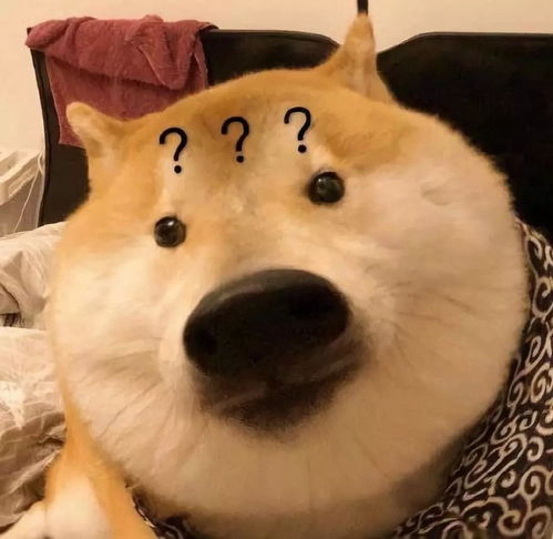 虾仁不眨眼的头像