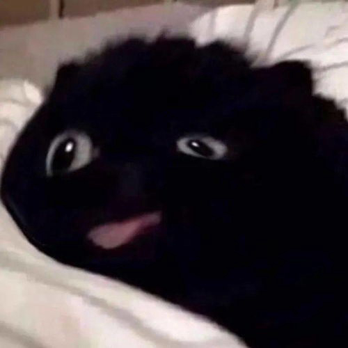萌面怪瘦的头像