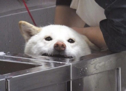 家里蹲大学状元的头像