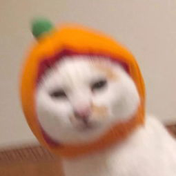 颜值颠疯的头像