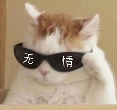 陪我寂寞的头像
