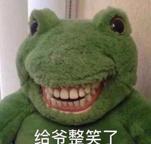 三只布朗熊的头像