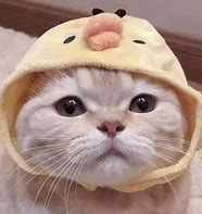 老子明天不上班的头像