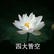 爽朗的预言家在狩猎的头像